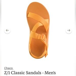 Z/1 Classic Mens Chaco